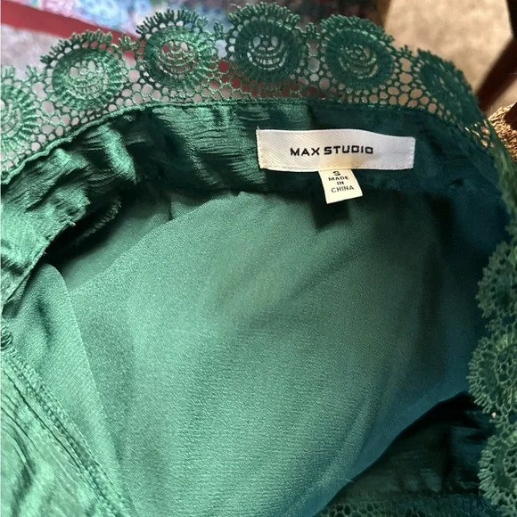 Green Swiss Dot Max Studio Maxi Dress - Picture 6 of 6